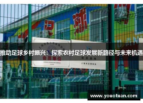 推动足球乡村振兴：探索农村足球发展新路径与未来机遇